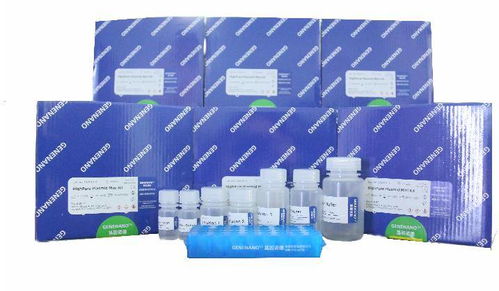 科技創新 這家渝企自主開發生物醫藥技術有望開創腫瘤早診新局面